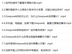 DeepSeek AI电商线上陪跑营 DeepSeek AI电商线上陪跑营